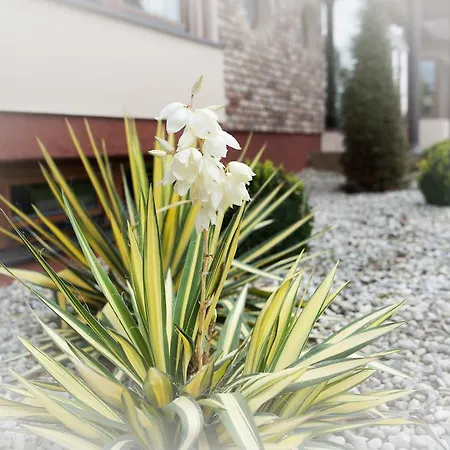Lovecka Basta Hotel 4*